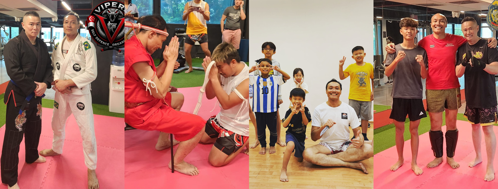 Vipera Self Defence Organisation training photos